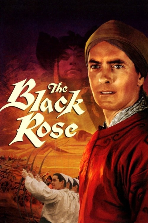 Die schwarze Rose 1950 German AC3D DL 1080p BluRay x264-Jakopo Download