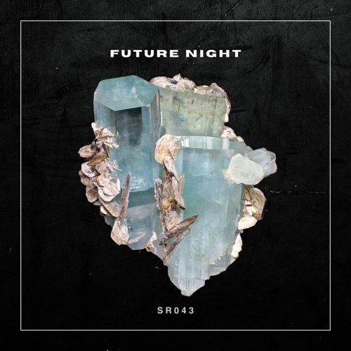 Lukas Wobeto-Future Night-(SR043)-16BIT-WEB-FLAC-2024-AFO