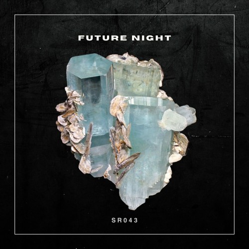 Lukas Wobeto-Future Night-(SR043)-16BIT-WEB-FLAC-2024-PTC