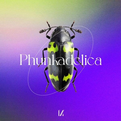 Phunkadelica feat. Stefano Proietti - By The Power Of Grayskull (2022) Download
