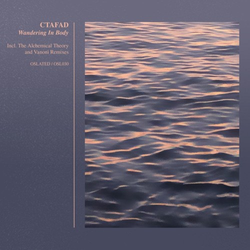 CTAFAD - Wandering In Body (2024) Download