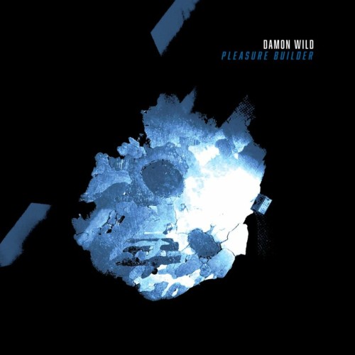Damon Wild - Pleasure Builder (2024) Download