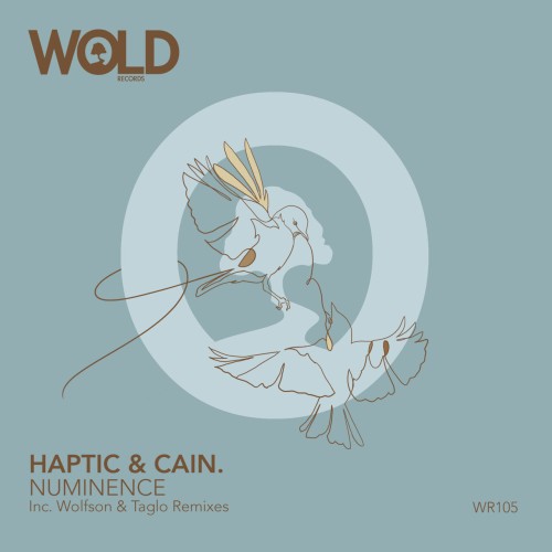 Haptic & CAIN. – Numinence (2024)