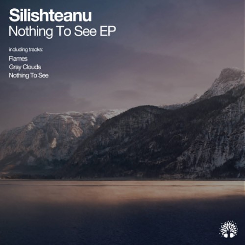 Silishteanu – Nothing to See (2024)