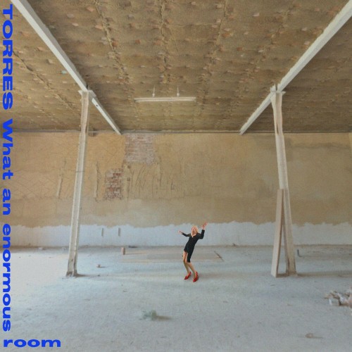 Torres-What an enormous room-16BIT-WEB-FLAC-2024-ENRiCH