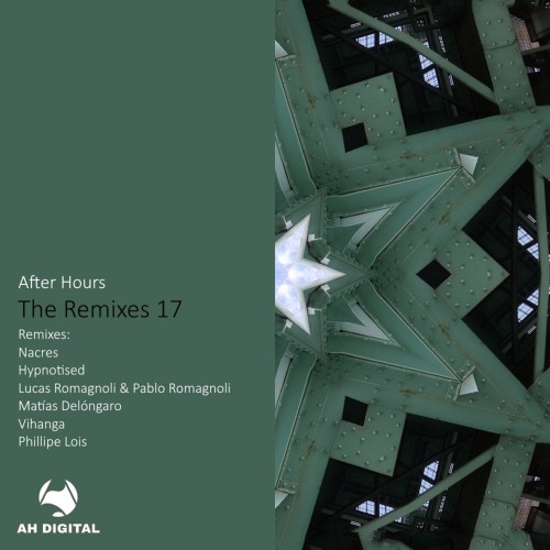 VA-After Hours (the Remixes 17)-(AHD366)-16BIT-WEB-FLAC-2024-AFO Download