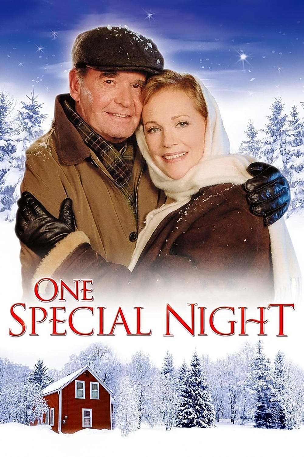One Special Night (1999)