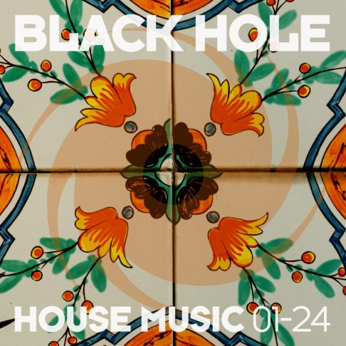 VA-Black Hole House Music 01-24-(BHDC703)-16BIT-WEB-FLAC-2024-AOVF