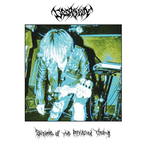 Decasion – Epitome Of The Affected Throng (2023)