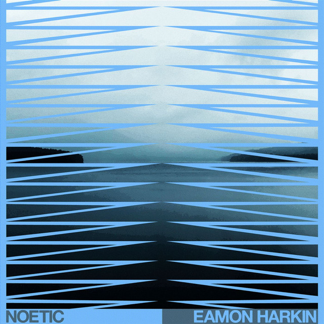 Eamon Harkin - Noetic (2024) [24Bit-44.1kHz] FLAC [PMEDIA] ⭐️ Download