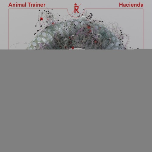 Animal Trainer & Aann – Hacienda (2024)
