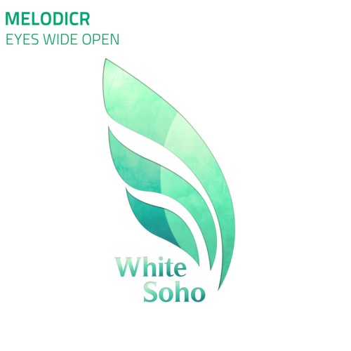 Melodicr - Eyes Wide Open (2024) Download