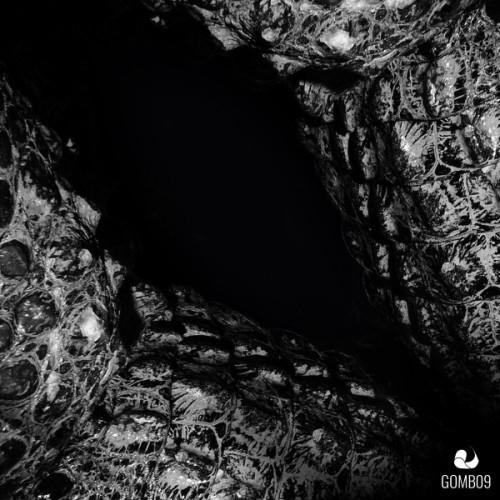 Deep Dimension - Gabbers On Acid (2018) Download