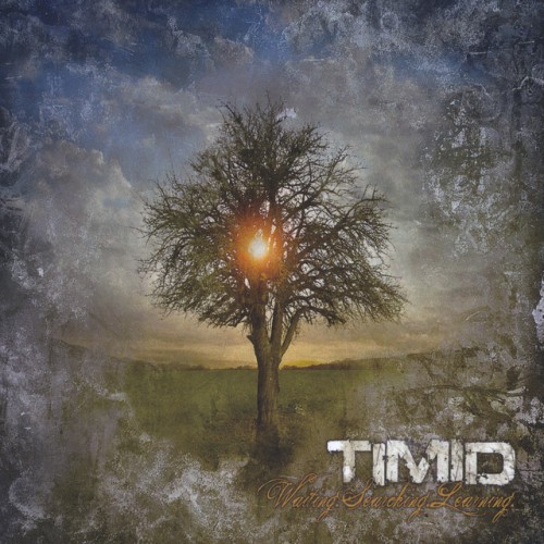 Timid – Waiting Searching Learning (2010)