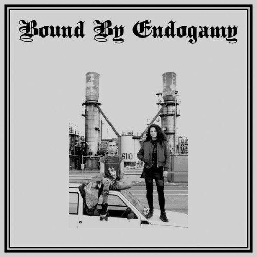 Bound by Endogamy-Bound By Endogamy-(BJR095)-24BIT-WEB-FLAC-2023-BABAS