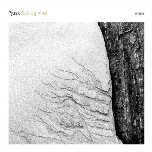 Pjusk - Salt og Vind (2022) Download