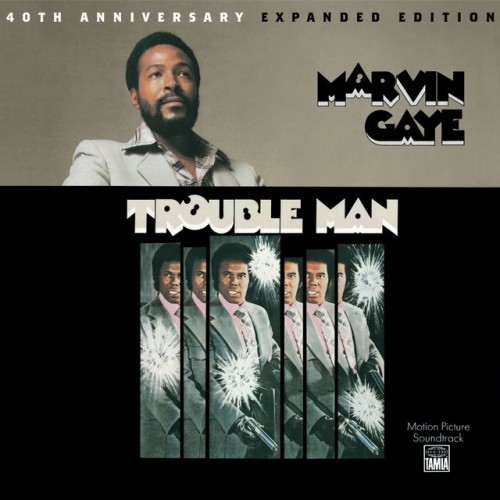 Marvin Gaye-Trouble Man-40th Anniversary Expanded Edition-OST-24BIT-96KHZ-WEB-FLAC-2016-TiMES