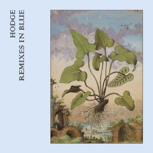 Hodge – Remixes In Blue (2020)