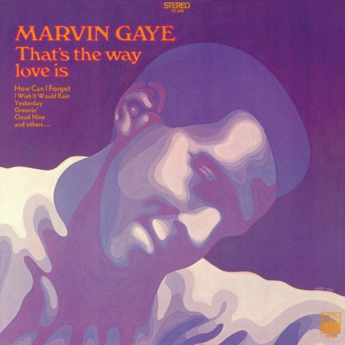 Marvin Gaye-Thats The Way Love Is-24BIT-192KHZ-WEB-FLAC-1970-TiMES