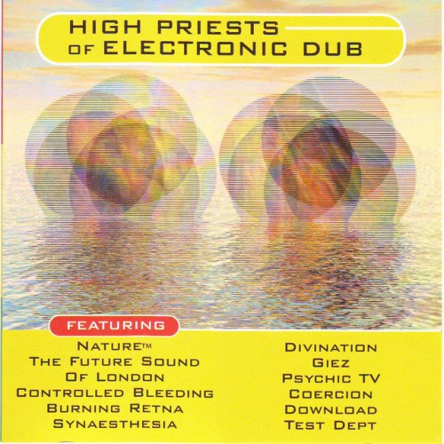 Various Artists – High Priests Of Electronic Dub (1996)