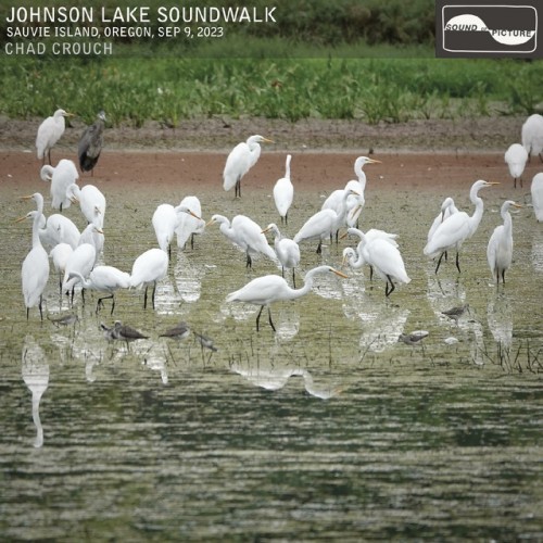 Chad Crouch - Johnson Lake Soundwalk (2024) Download