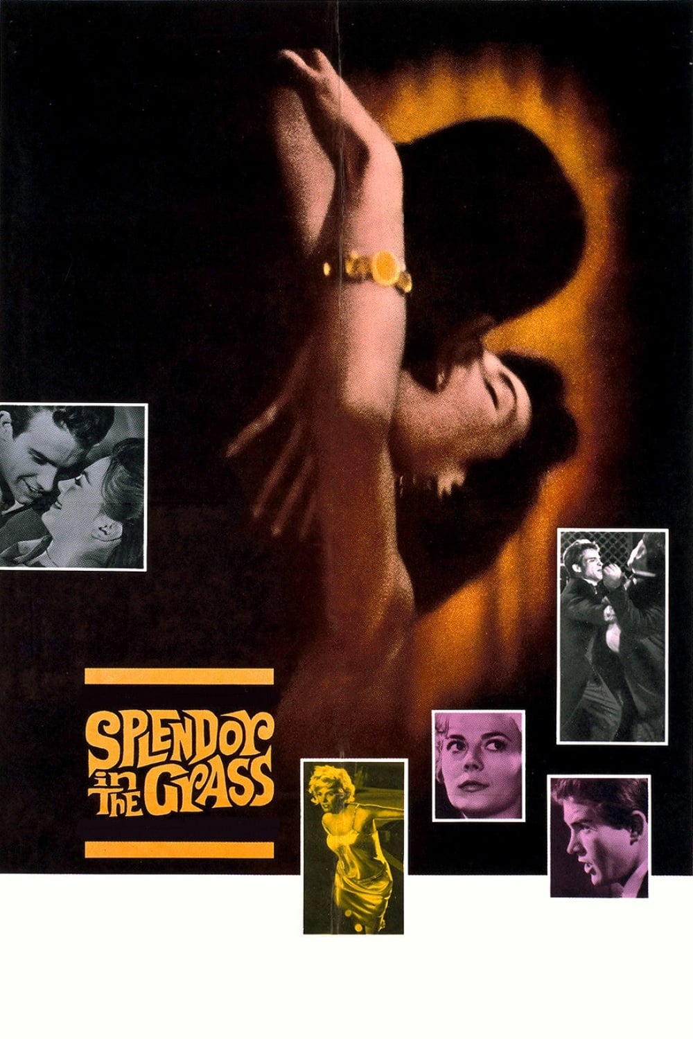 Splendor in the Grass (1961) Download