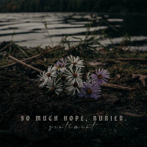 So Much Hope Buried. – Sentiment (2022)