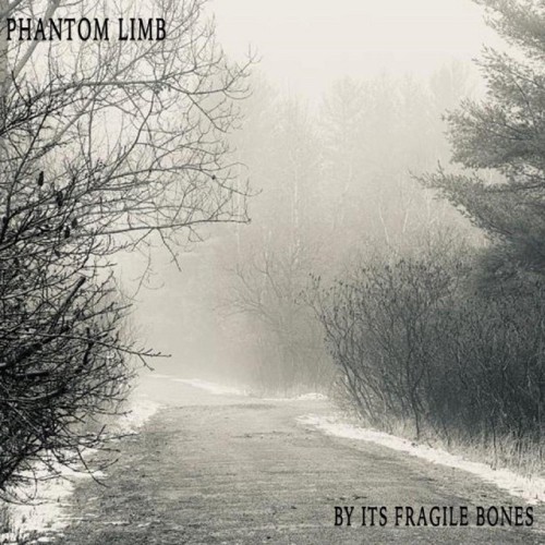 Phantom Limb - By Its Fragile Bones (2021) Download