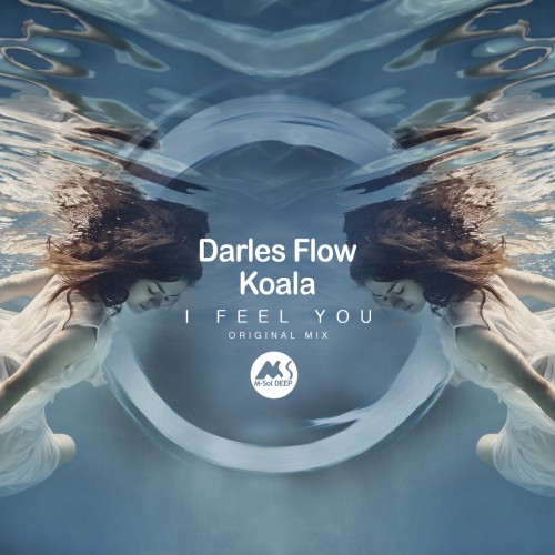 Darles Flow & Koala - I Feel You (2024) Download