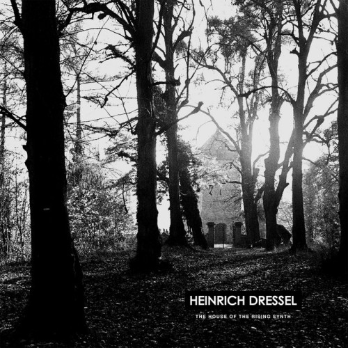 Heinrich Dressel - The House Of The Rising Synth (2013) Download