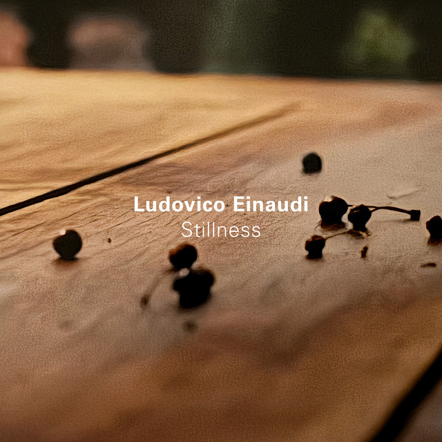Ludovico Einaudi - Stillness (2024) [16Bit-44.1kHz] FLAC [PMEDIA] ⭐ Download