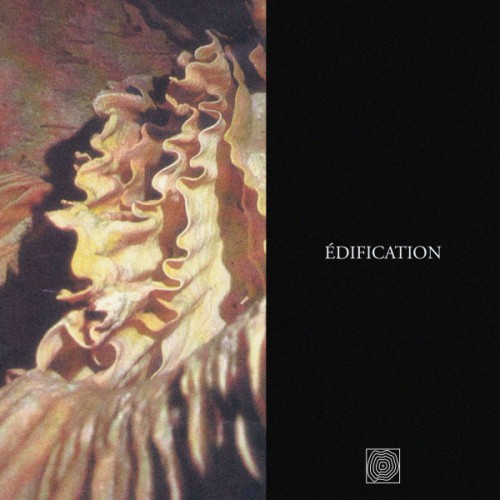 Various Artists - Edification (2019) Download