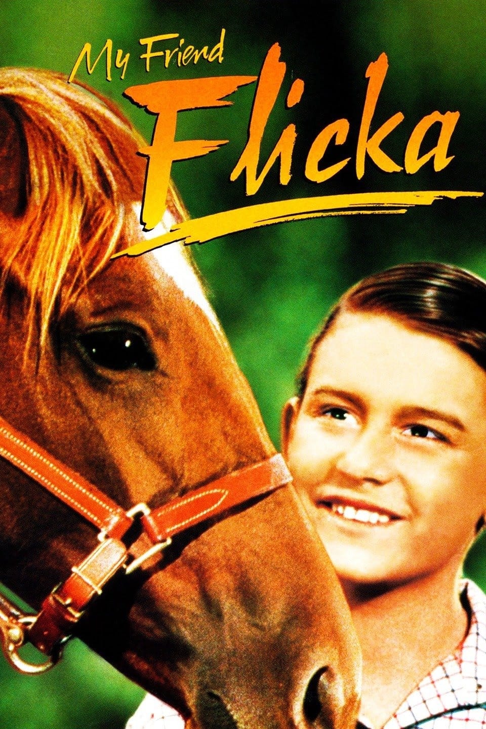 My Friend Flicka (1943)