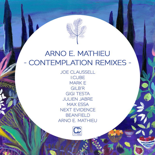 Arno E. Mathieu - Contemplation Remixes (2024) [24Bit-44.1kHz] FLAC [PMEDIA] ⭐️ Download