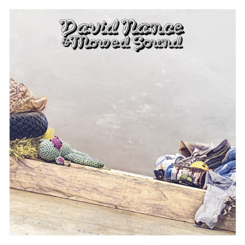 David Nance - David Nance & Mowed Sound (2024) [24Bit-96kHz] FLAC [PMEDIA] ⭐️ Download