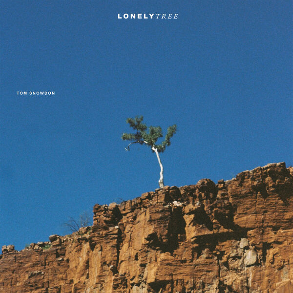 Tom Snowdon - Lonely Tree (2024) [24Bit-48kHz] FLAC [PMEDIA] ⭐️ Download