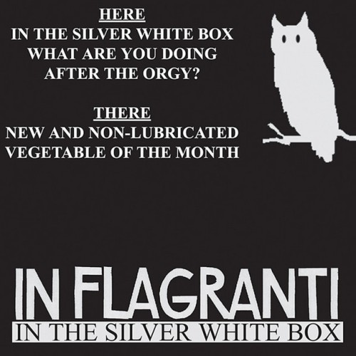 In Flagranti – In the Silver White Box EP (2006)