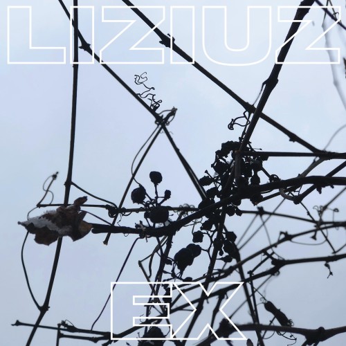 Liziuz - Ex (2021) Download