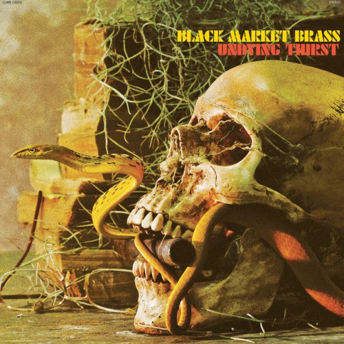 Black Market Brass - Undying Thirst (2020) Download