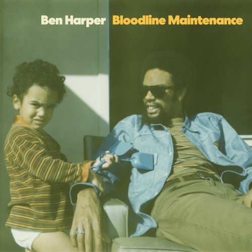 Ben Harper - Bloodline Maintenance (2022) Download