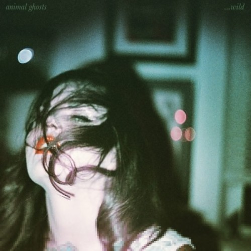 Animal Ghosts - Wild (2020) Download