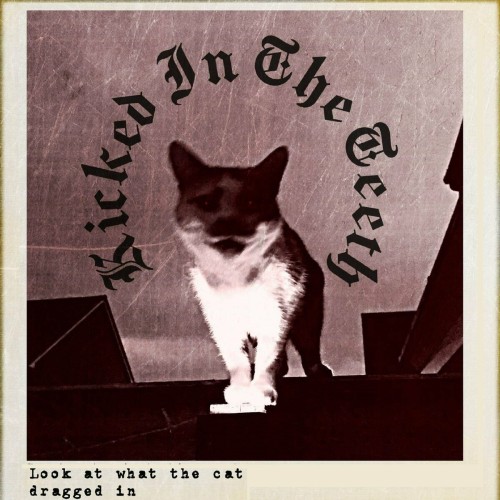 Kicked In The Teeth – Look What The Cat Dragged In (2023)