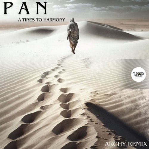 P A N - A Tines to Harmony (Archy Remix) (2024) Download