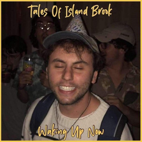 Waking Up Now-Tales Of Island Brook-16BIT-WEB-FLAC-2020-VEXED