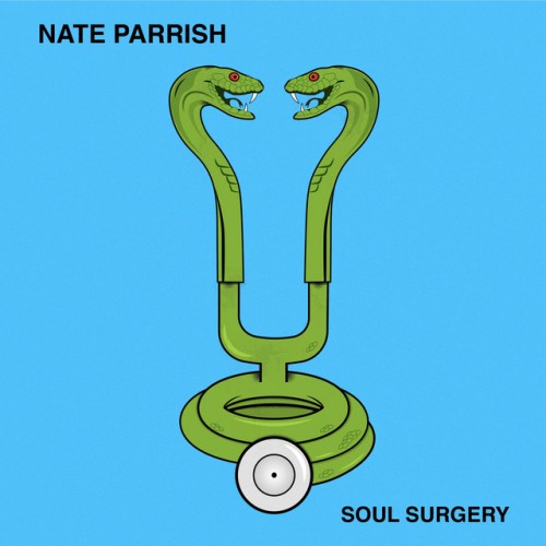 Nate Parrish – Soul Surgery (2022)