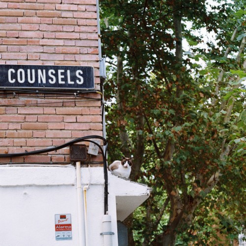 Counsels – Counsels (2020)