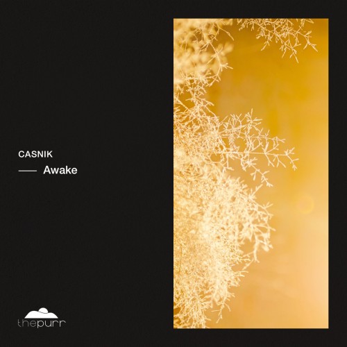 Casnik - Awake (2024) Download