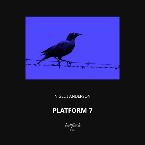 Nigel J Anderson – Platform 7 (2024)
