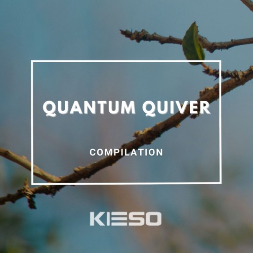 Various Artists – Quantum Quiver (2024)