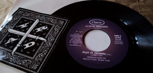 Lloyd Brown - Put It Down (2001) Download